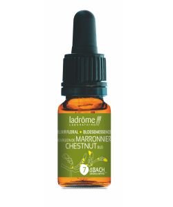 Bourgeon de Marronnier - Chestnut Bud (n°7) BIO, 10 ml